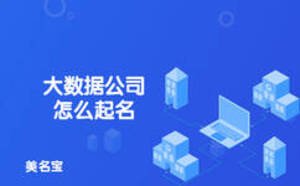 大數(shù)據(jù)公司怎么起名