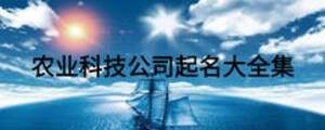 農(nóng)業(yè)科技公司起名大全集