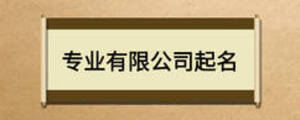 專業(yè)有限公司起名