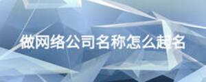 做網(wǎng)絡(luò)公司名稱怎么起名