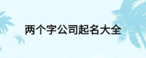 兩個(gè)字公司起名大全