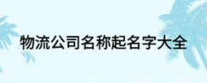 物流公司名稱(chēng)起名字大全