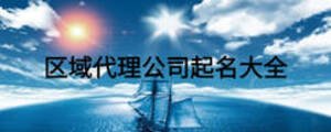 區域代理公司起名大全