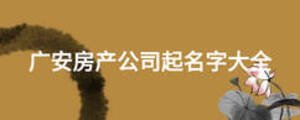 廣安房產(chǎn)公司起名字大全