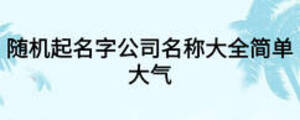 隨機(jī)起名字公司名稱大全簡單大氣