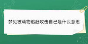 夢見被動物追趕攻擊自己是什么意思
