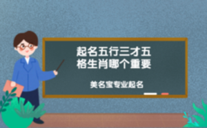 起名五行三才五格生肖哪個重要