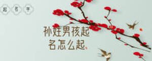 孫姓男孩起名怎么起