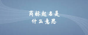 商標起名是什么意思
