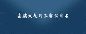 高端大氣的三字公司名