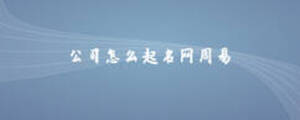 公司怎么起名網(wǎng)周易