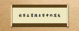 楨字在男孩名字中的寓意