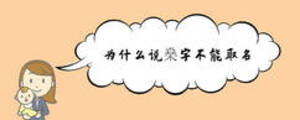 為什么說(shuō)燊字不能取名