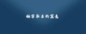 儷字取名的寓意