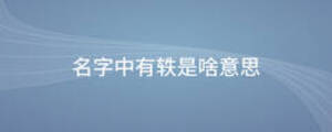名字中有軼是啥意思