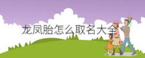 龍鳳胎怎么取名大全