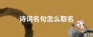 詩詞名句怎么取名