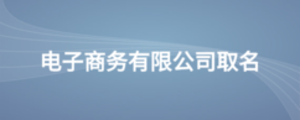 電子商務(wù)有限公司取名