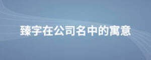 臻字在公司名中的寓意