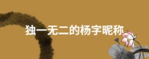 獨(dú)一無(wú)二的楊字昵稱