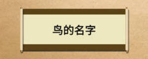 鳥的名字