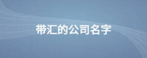 帶匯的公司名字