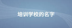 培訓(xùn)學(xué)校的名字