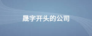 晟字開頭的公司