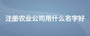 注冊農(nóng)業(yè)公司用什么名字好