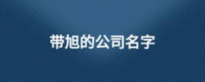 帶旭的公司名字
