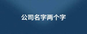 公司名字兩個(gè)字
