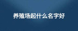 養殖場起什么名字好