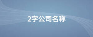 2字公司名稱