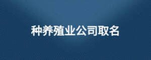 種養殖業公司取名