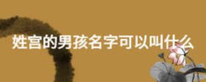 姓宮的男孩名字可以叫什么