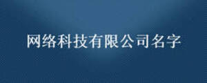 網(wǎng)絡(luò)科技有限公司名字
