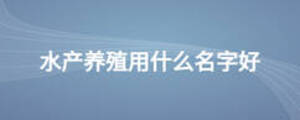 農(nóng)業(yè)公司叫什么名字好