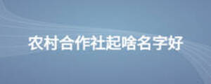 農(nóng)村合作社起啥名字好