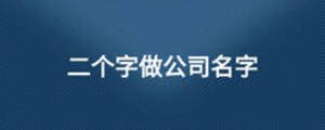 二個(gè)字做公司名字