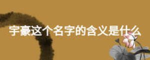 宇豪這個名字的含義是什么