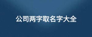 公司兩字取名字大全