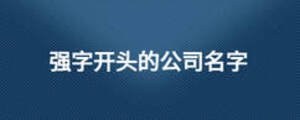 強(qiáng)字開頭的公司名字
