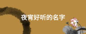 夜宵好聽的名字