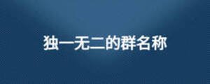 獨(dú)一無(wú)二的群名稱