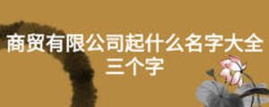 商貿(mào)有限公司起什么名字大全 三個(gè)字