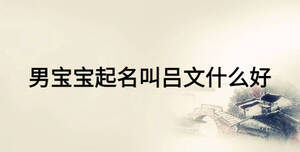 男寶寶起名叫呂文什么好