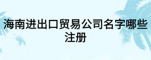 海南進出口貿(mào)易公司名字哪些注冊