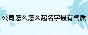 公司怎么怎么起名字最有氣質(zhì)