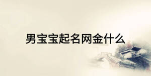 男寶寶起名網金什么