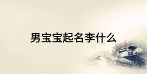 男寶寶起名李什么
